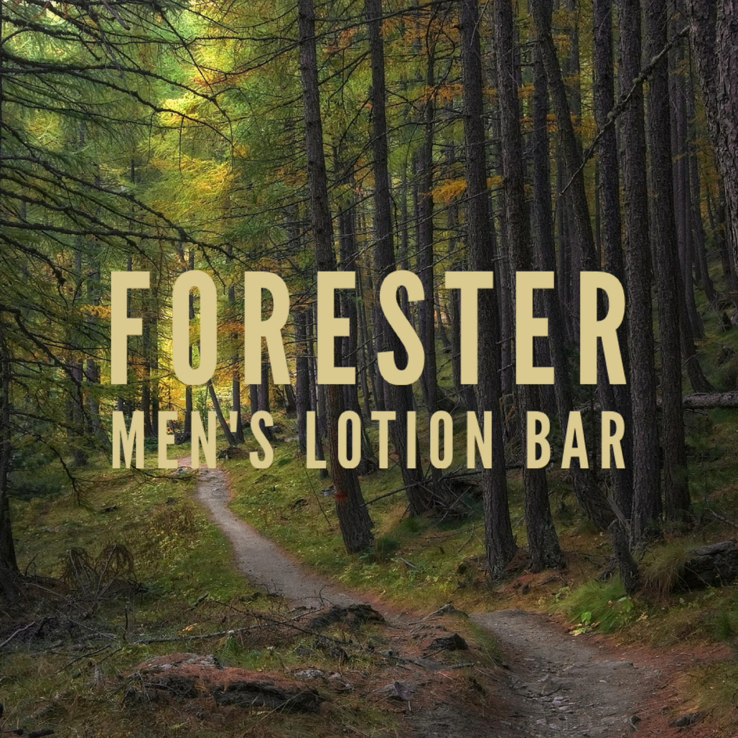 Forester Mens Lotion Bar