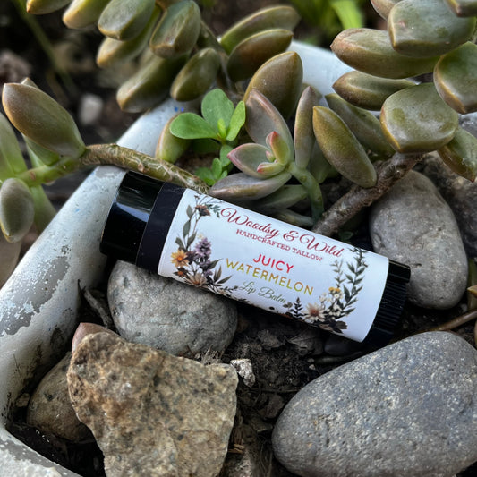 Juicy Watermelon Lip Balm Stick 4.5g