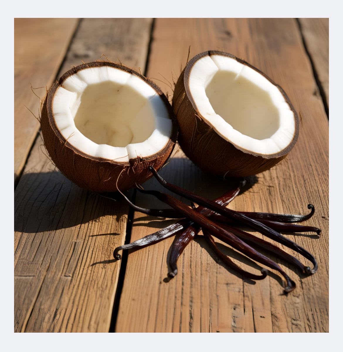 Coconut Vanilla Whipped Tallow Butter 2oz
